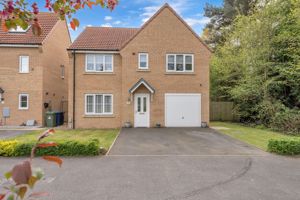 Photo 31- click for photo gallery